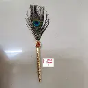Decorated Red Pen with Peacock Feather (Pack of 5)